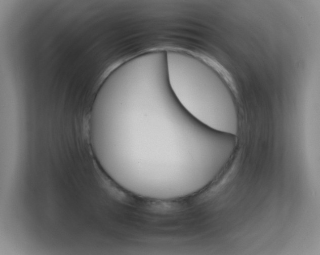 X0000113870945200909241003