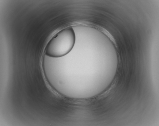 X0000113870946200909241003