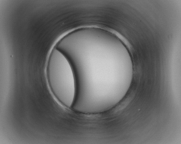 X0000113870951200909241003