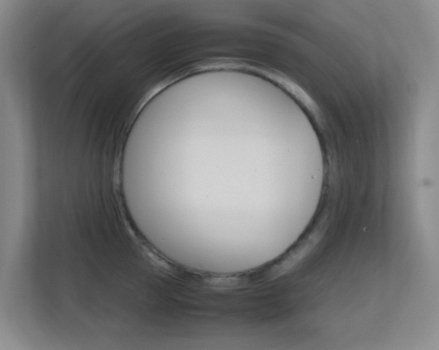 X0000113870953200909241003