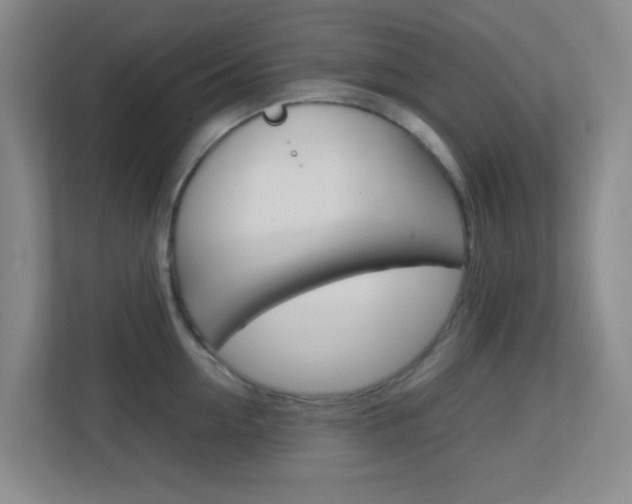 X0000113870954200909241003
