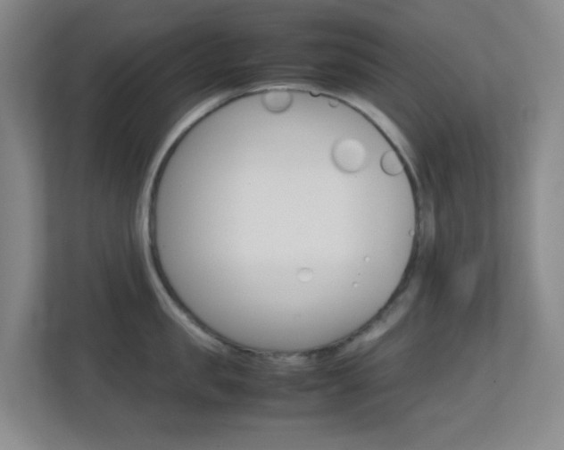 X0000113870957200909241003