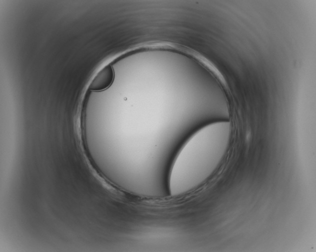 X0000113870959200909241003