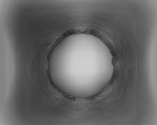 X0000113870961200909241003