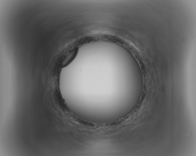 X0000113870965200909241003