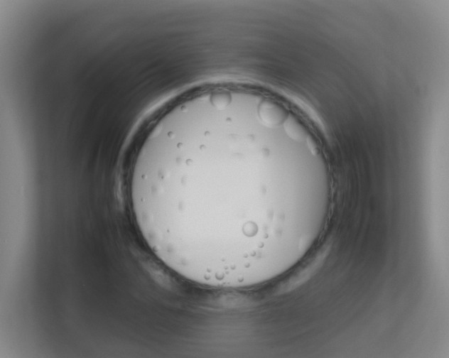 X0000113870974200909241003