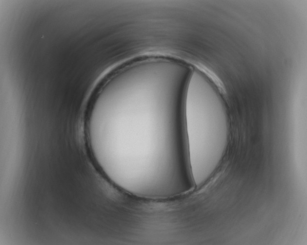 X0000113870976200909241003