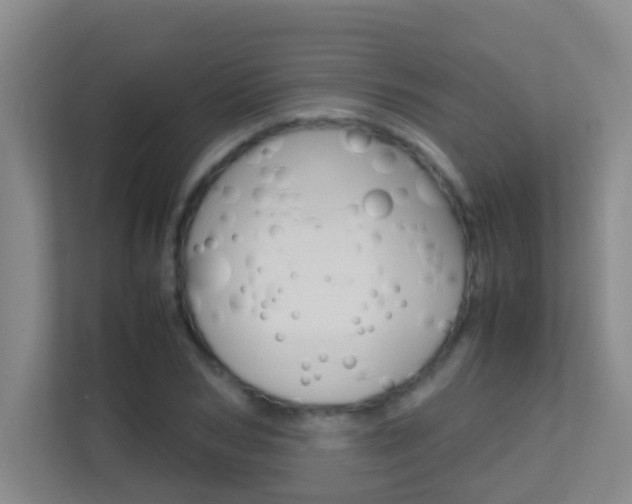 X0000113870978200909241003