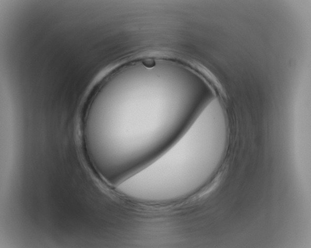 X0000113870981200909241003
