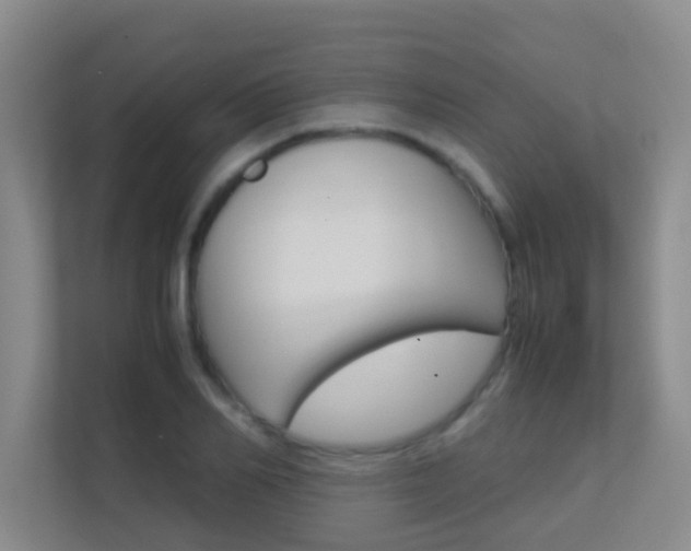 X0000113870982200909241003