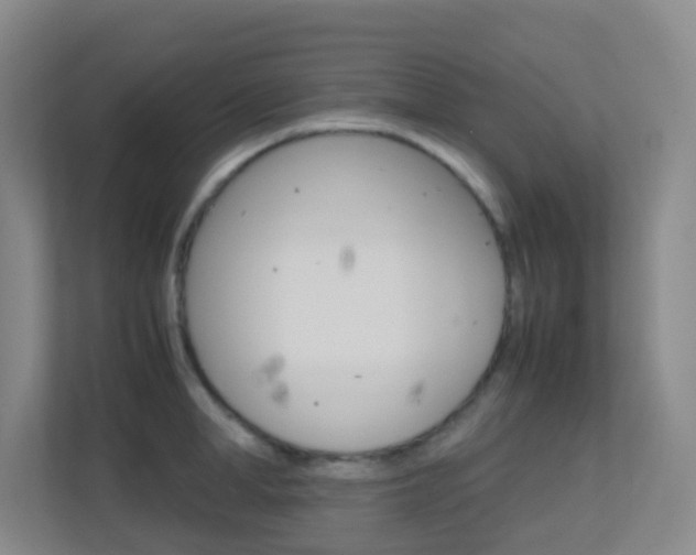 X0000113870998200909241002