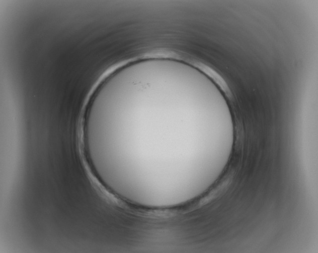 X0000113871000200909241002