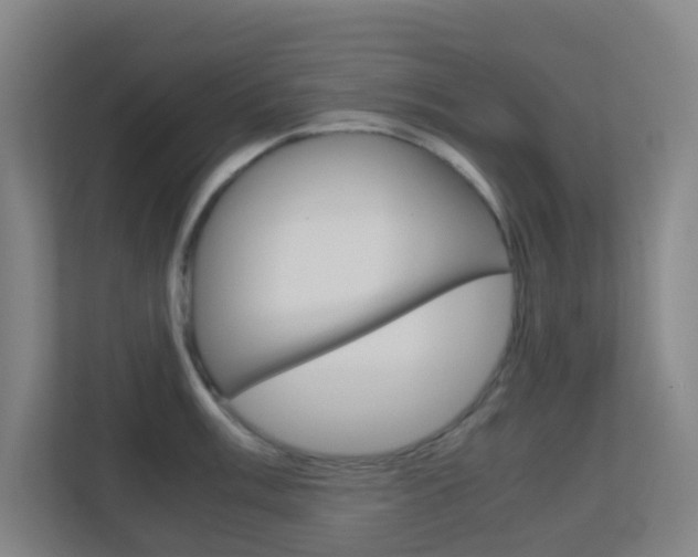 X0000113871003200909241002