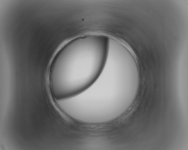 X0000113871005200909241002