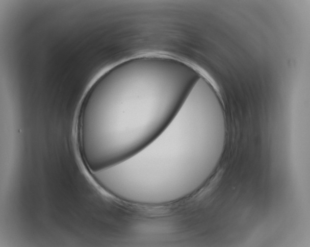 X0000113871007200909241002