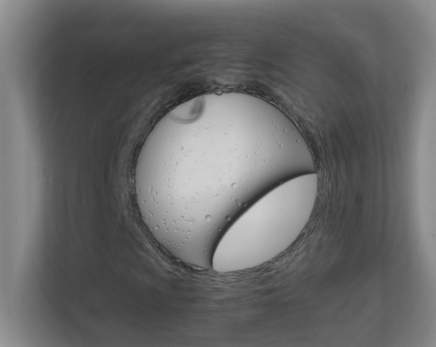 X0000113871009200909241002