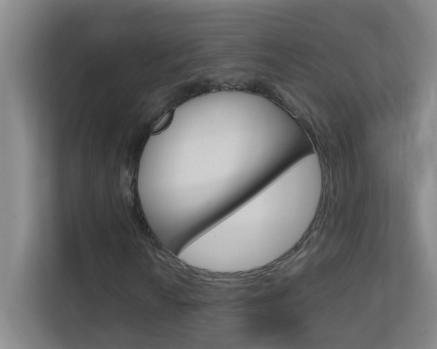 X0000113871010200909241002