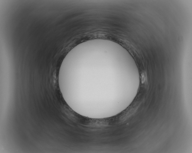 X0000113871011200909241002