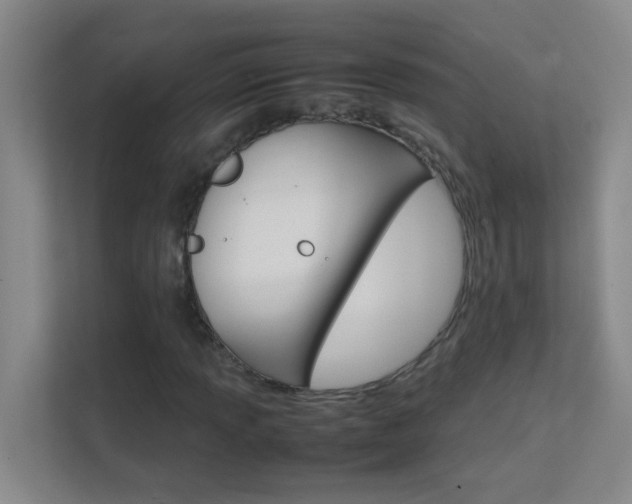 X0000113871013200909241002