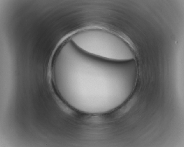 X0000113871028200909241002