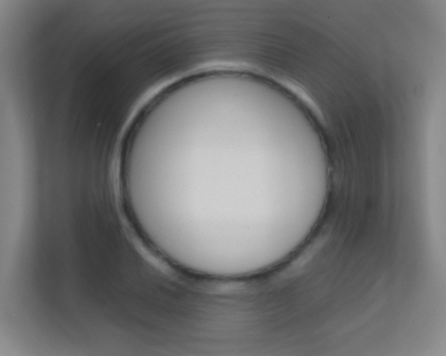 X0000113871030200909241002