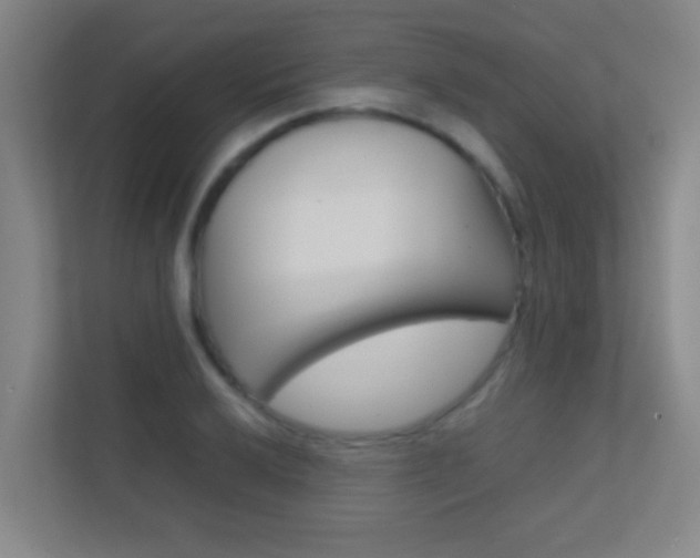X0000113871032200909241002