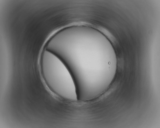 X0000113871046200909241002