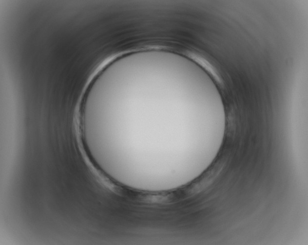 X0000113871047200909241002