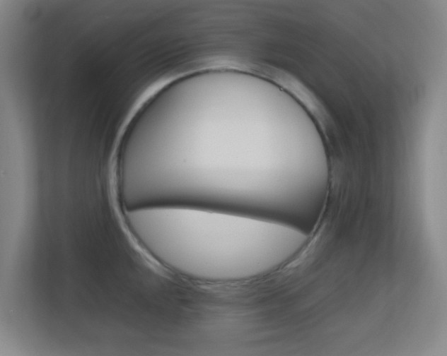 X0000113871048200909241002