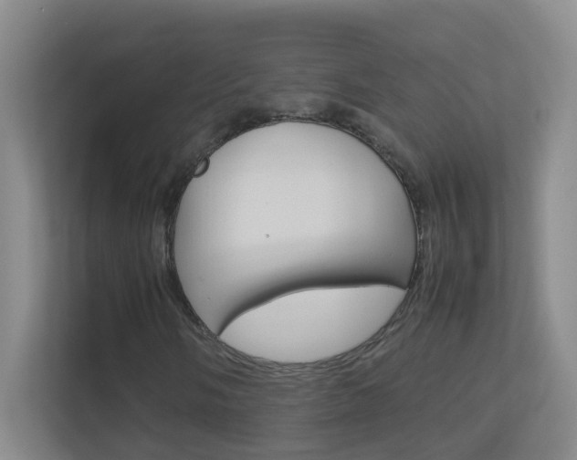X0000113871058200909241002