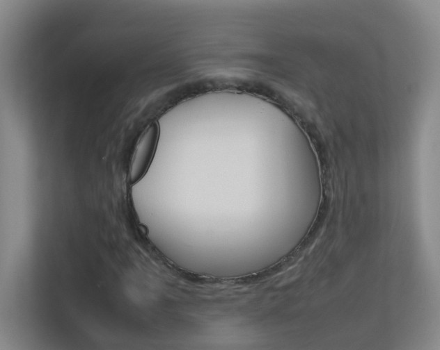 X0000113871061200909241002