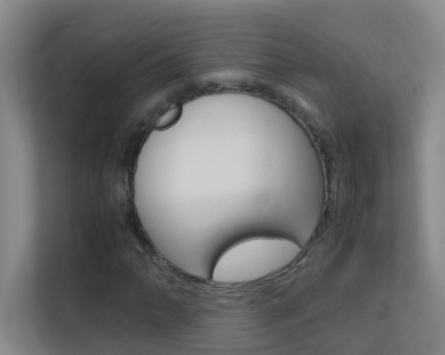 X0000113871062200909241002