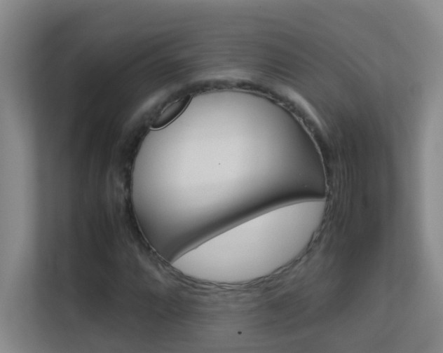 X0000113871064200909241002