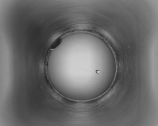 X0000113871065200909241002