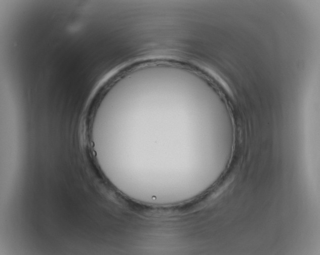 X0000113871069200909241001