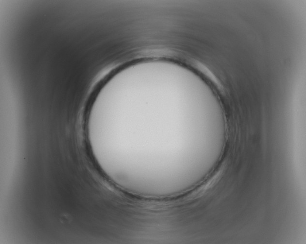 X0000113871071200909241001