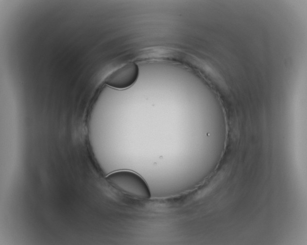X0000113871073200909241001