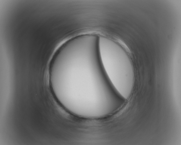 X0000113871079200909241001