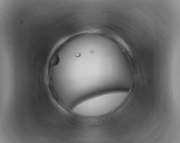 X0000113871080200909241001