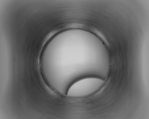 X0000113871082200909241001