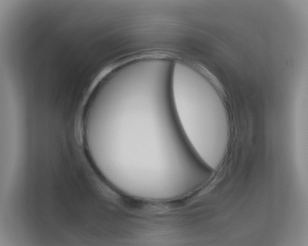 X0000113871083200909241001
