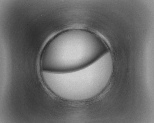 X0000113871085200909241001
