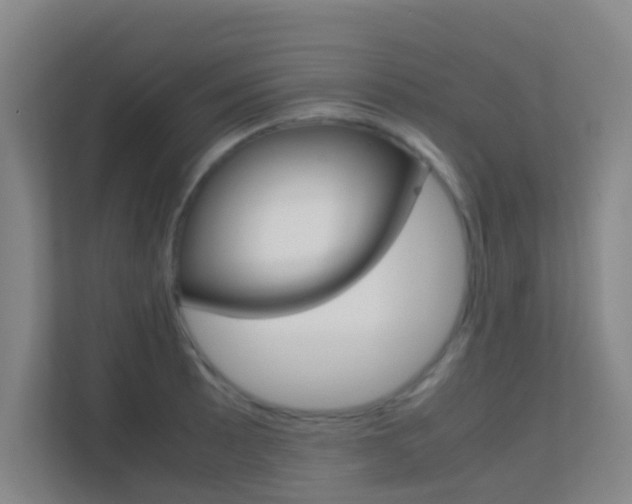 X0000113871089200909241001