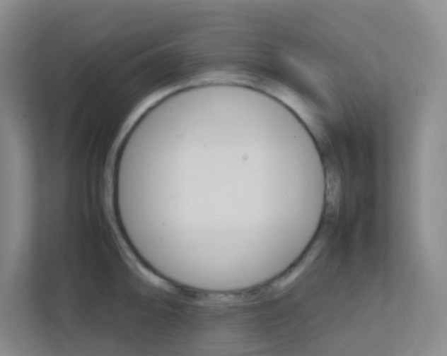 X0000113871094200909241001
