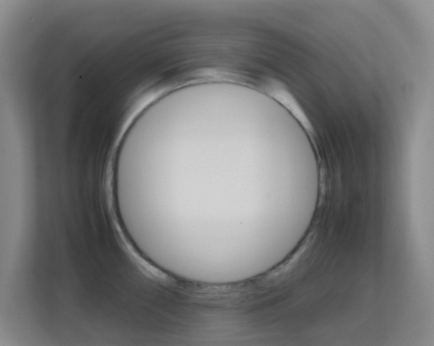 X0000113871098200909241001