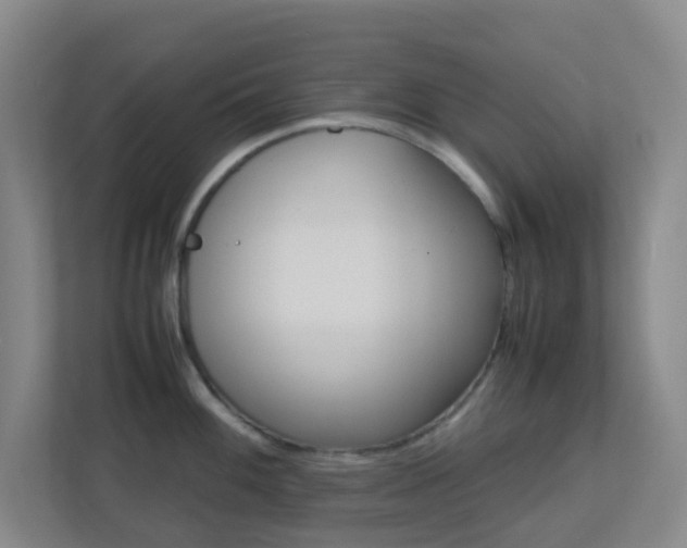 X0000113871100200909241001
