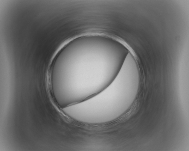 X0000113871101200909241001
