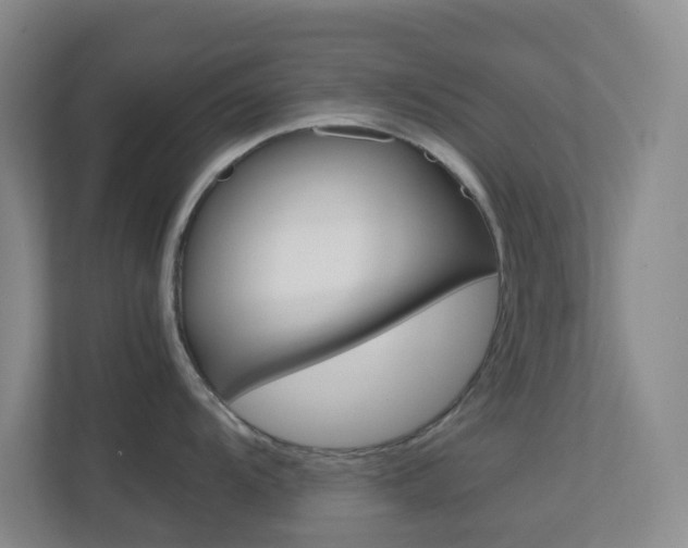 X0000113871104200909241001