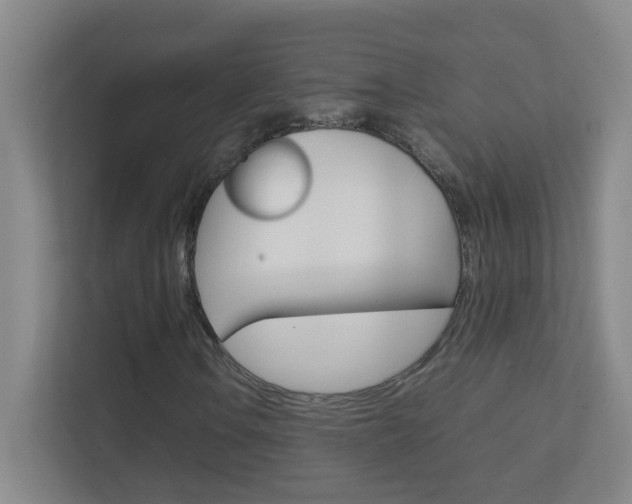 X0000113871106200909241000