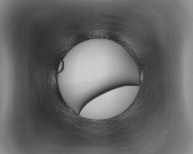 X0000113871107200909241000